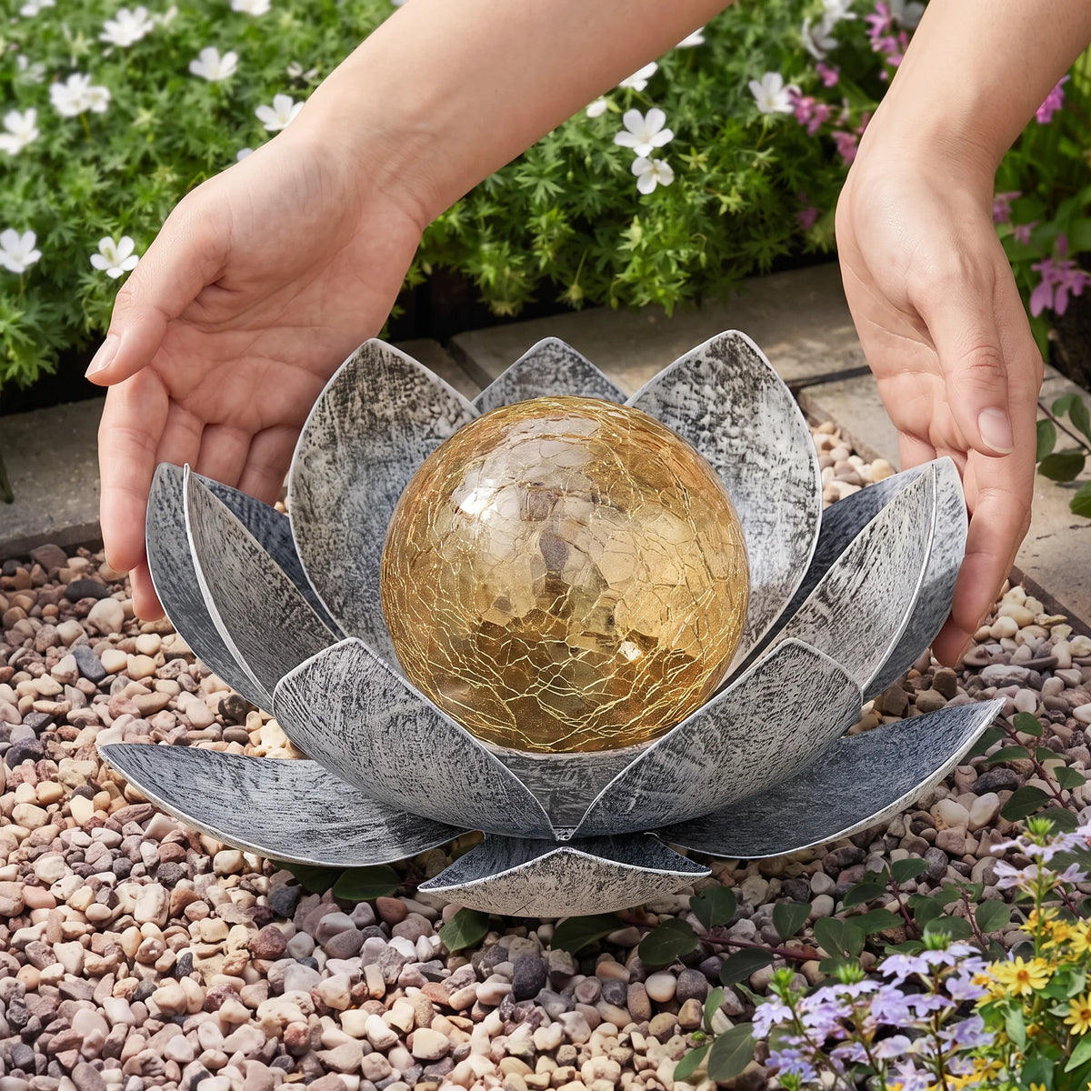 Hands placing the lotus on gravel for scale