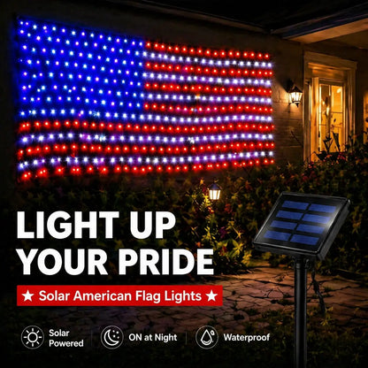 American Flag Net Lights