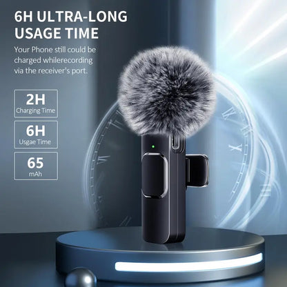 Dual Lapel Microphone