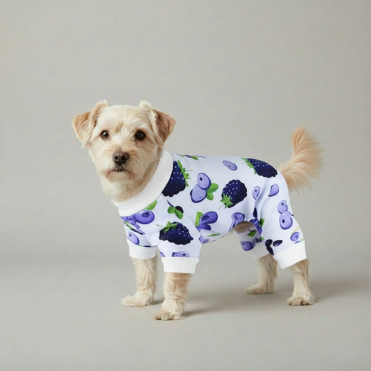 Cozy Style Printed Chihuahua Dog Pajama