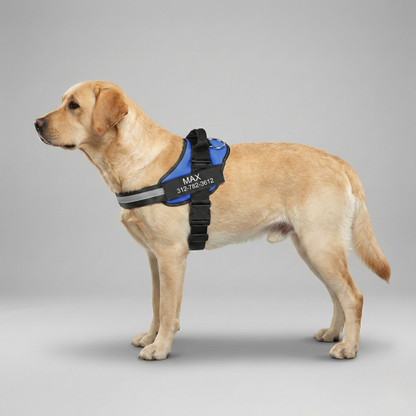 Custom No Pull Dog Harness With Name and Phone Number, Heavy Duty Personalized Pet Vest