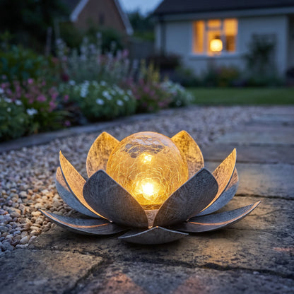 Pewter lotus glowing amber at dusk on a garden path