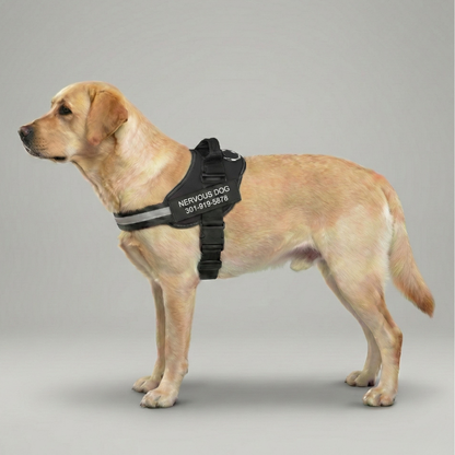 Custom No Pull Dog Harness With Name and Phone Number, Heavy Duty Personalized Pet Vest