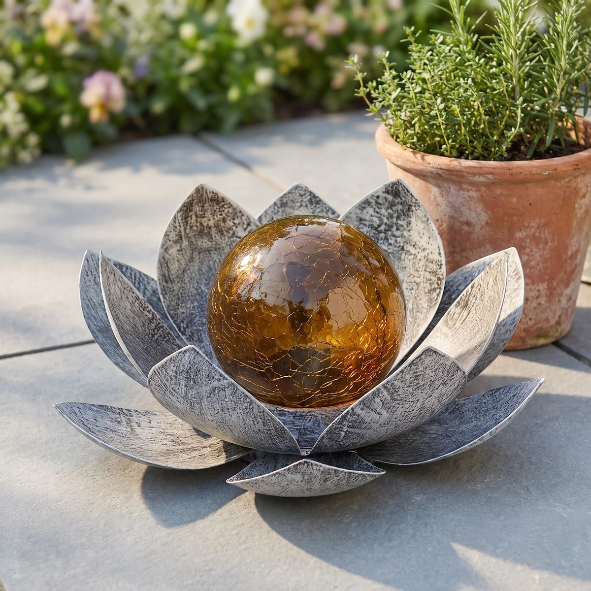Lotus resting on a patio in daylight