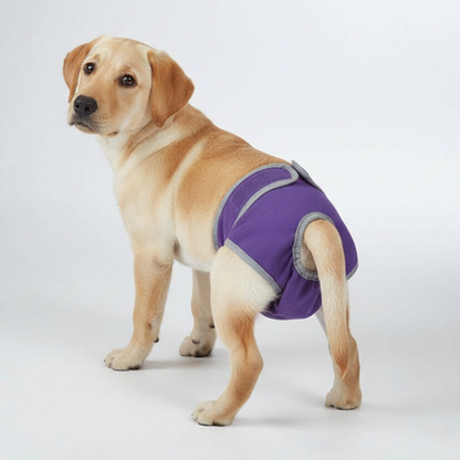 Stretchable Pull On Style Dog Pants