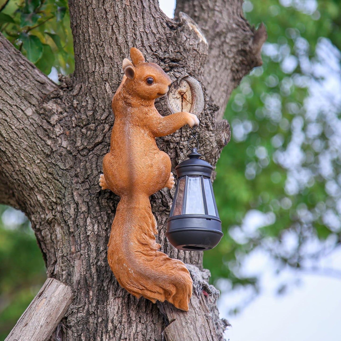 Solar Squirrel Lanterns