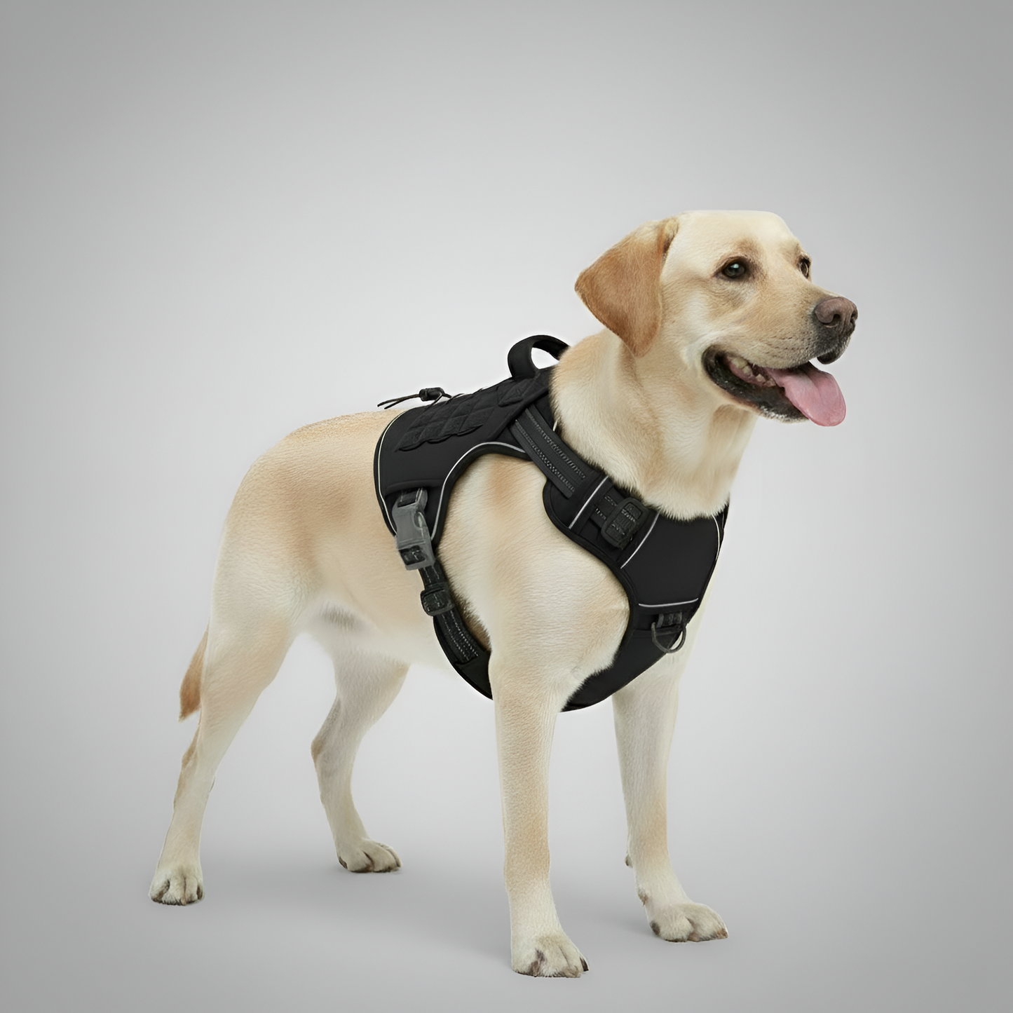 Adjustable Tactical Dog Harness Vest