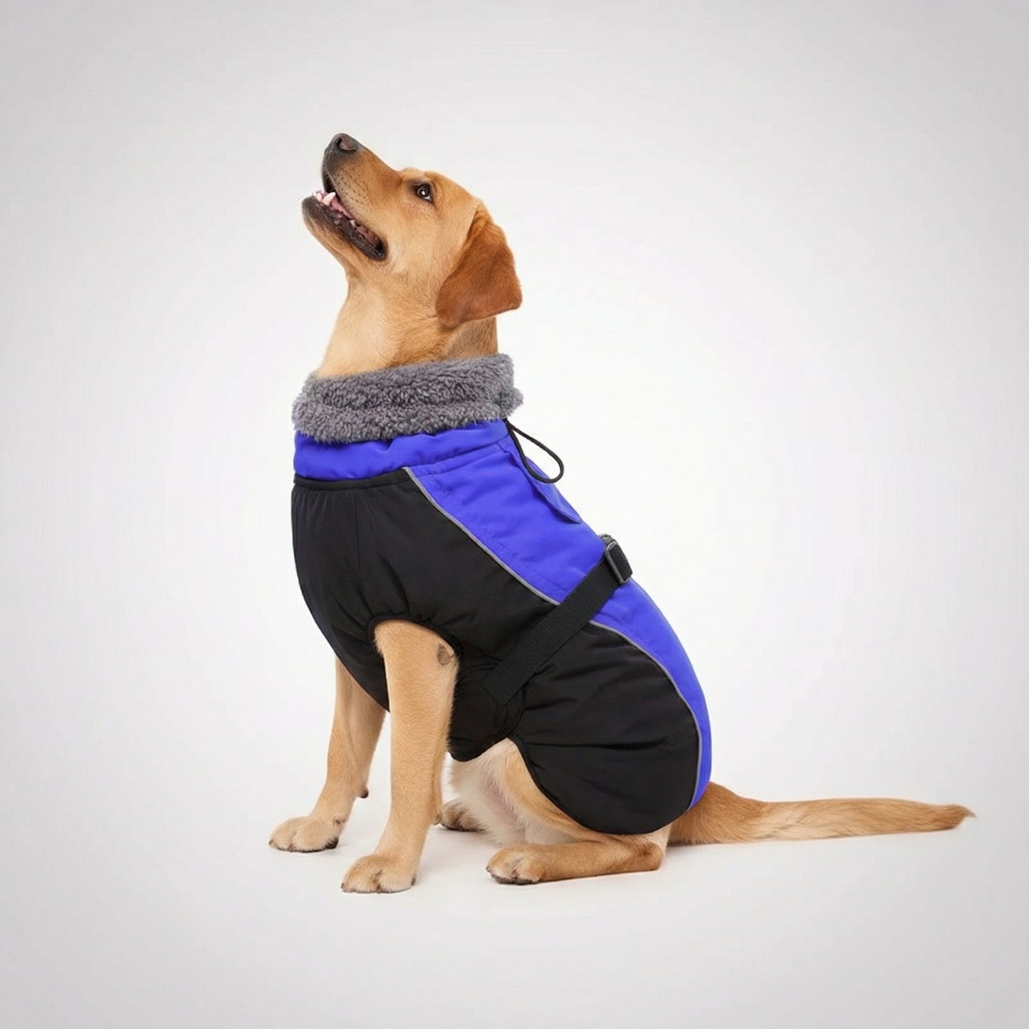 Adjustable Extra Warm Dog Winter Jacket