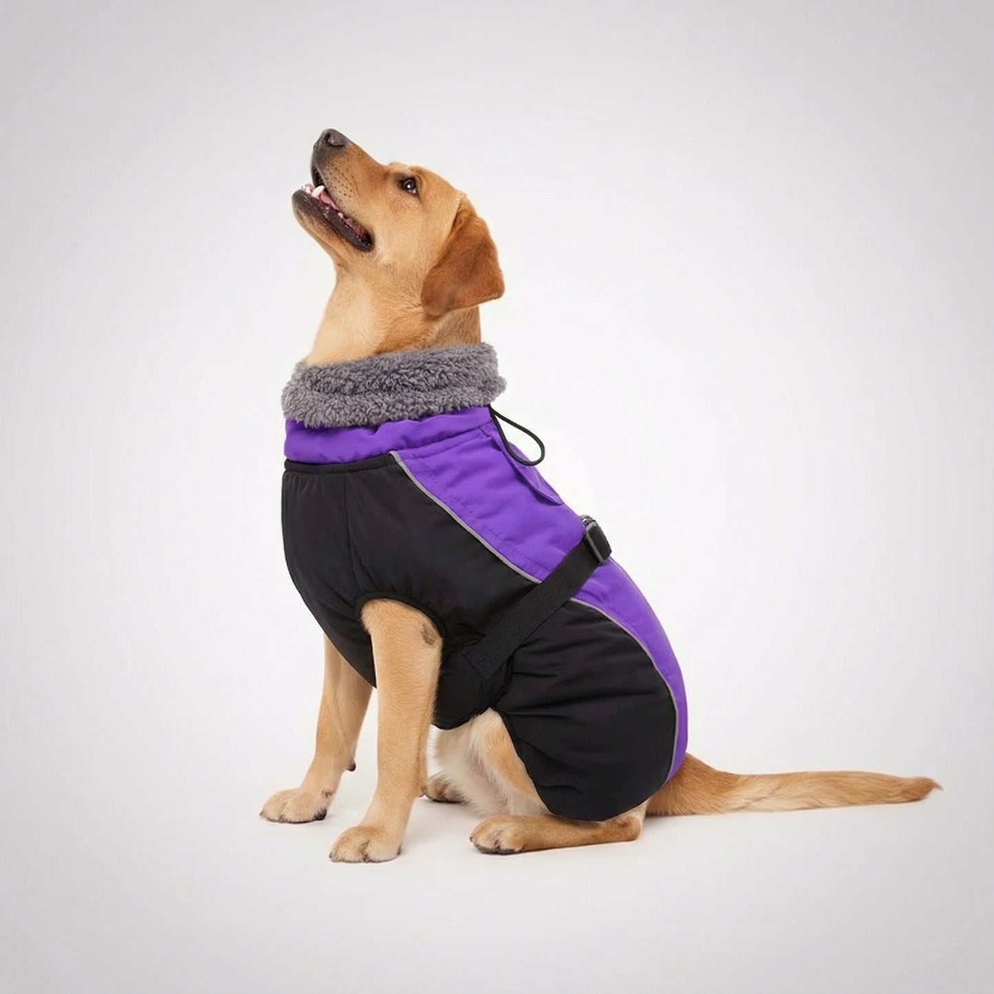 Adjustable Extra Warm Dog Winter Jacket