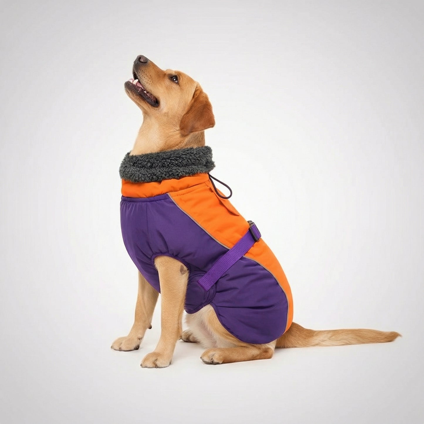 Adjustable Extra Warm Dog Winter Jacket