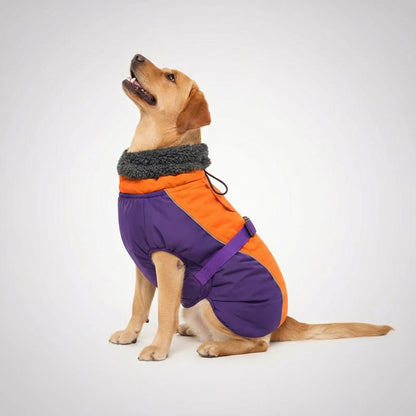 Adjustable Extra Warm Dog Winter Jacket