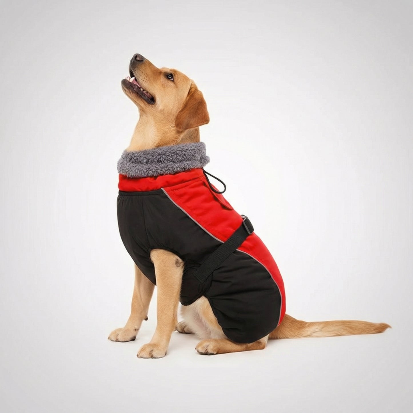 Adjustable Extra Warm Dog Winter Jacket