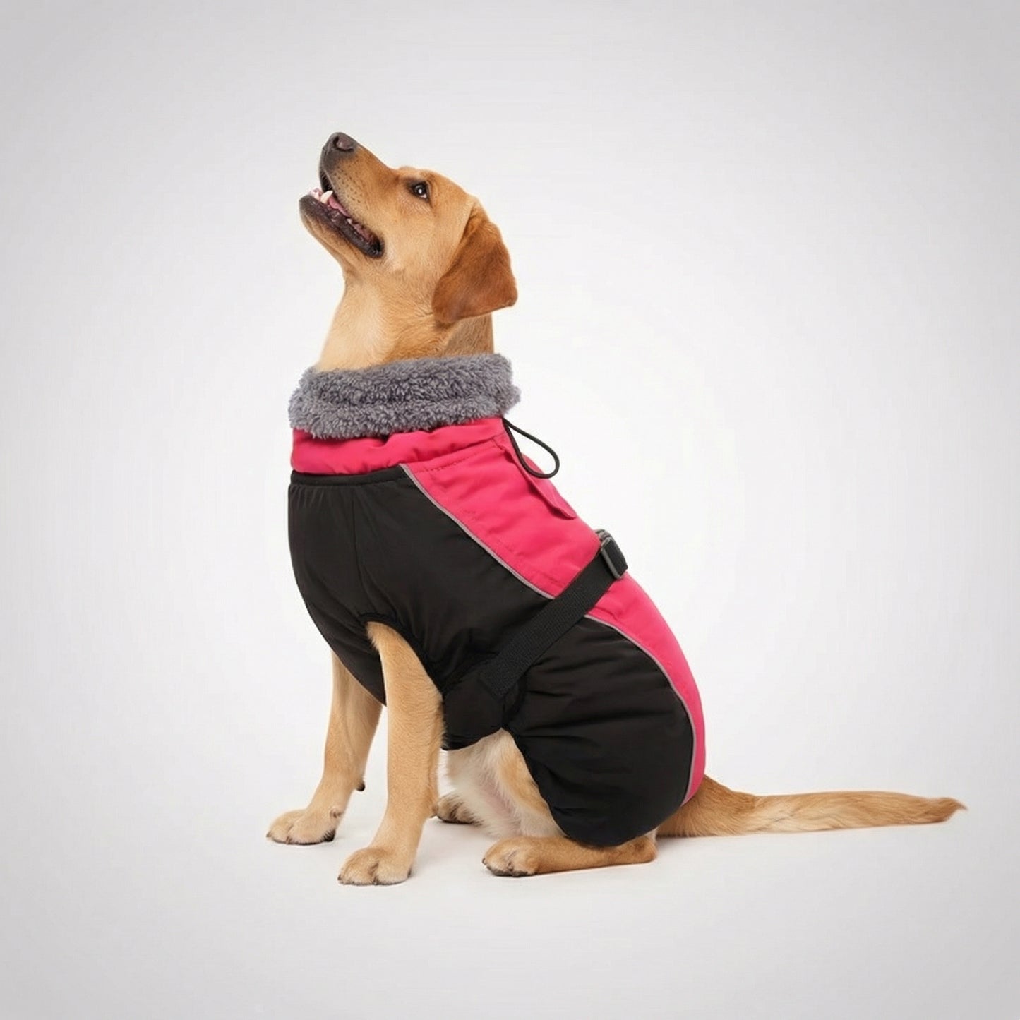 Adjustable Extra Warm Dog Winter Jacket