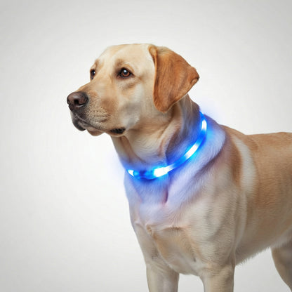 Halo Style LED Pet Collar