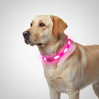 Halo Style LED Pet Collar