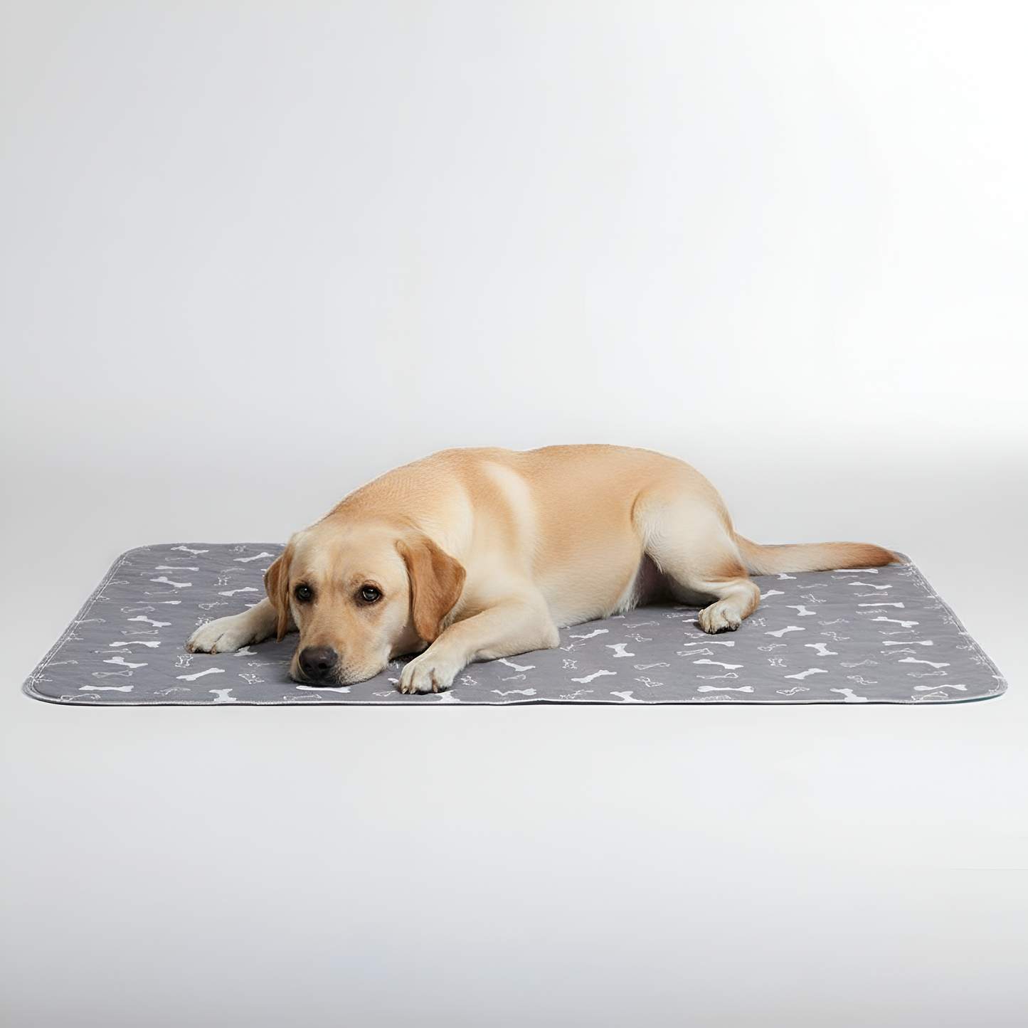 Paw Print Reusable Pet Urine Pad