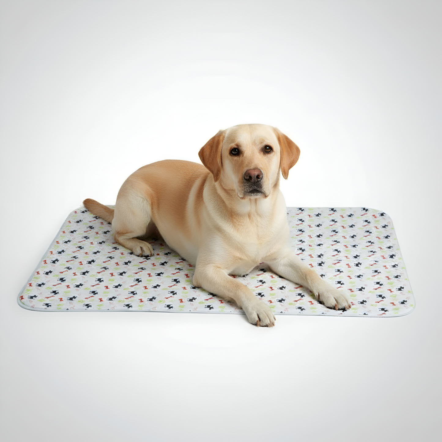 Paw Print Reusable Pet Urine Pad