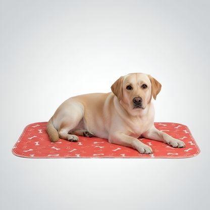 Paw Print Reusable Pet Urine Pad