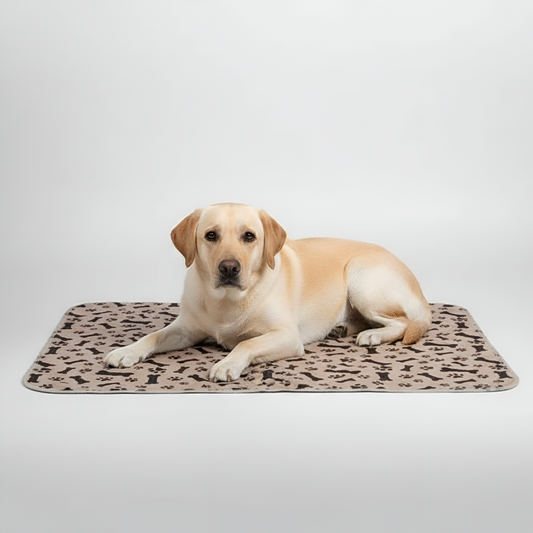 Paw Print Reusable Pet Urine Pad