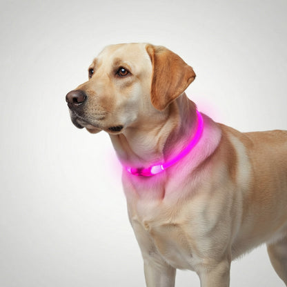 Rechargeable LED Pet Visibility Collar
