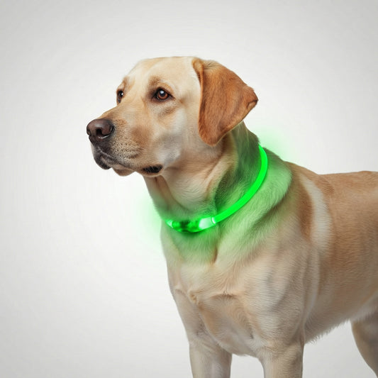 Rechargeable LED Pet Visibility Collar