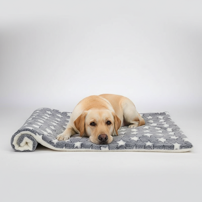 Printed Fleece Pet Cushion Blanket