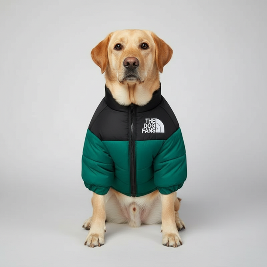 Cozy Winter Jacket For Dogs