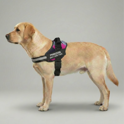 Custom No Pull Dog Harness With Name and Phone Number, Heavy Duty Personalized Pet Vest