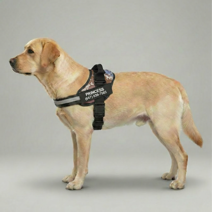 Custom No Pull Dog Harness With Name and Phone Number, Heavy Duty Personalized Pet Vest