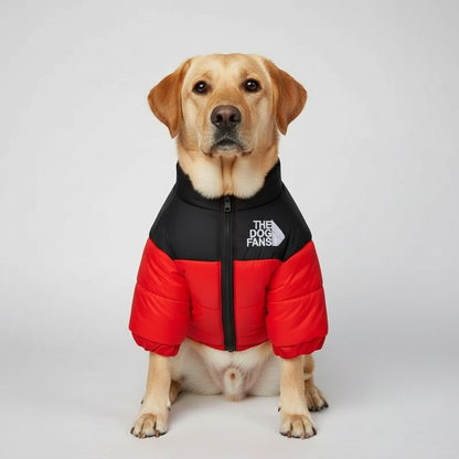 Cozy Winter Jacket For Dogs