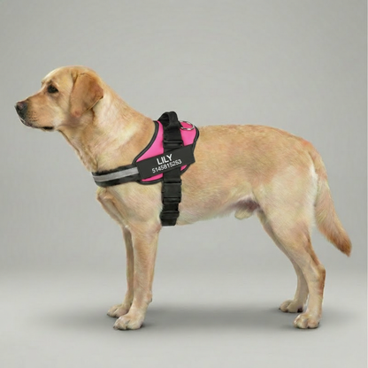 Custom No Pull Dog Harness With Name and Phone Number, Heavy Duty Personalized Pet Vest