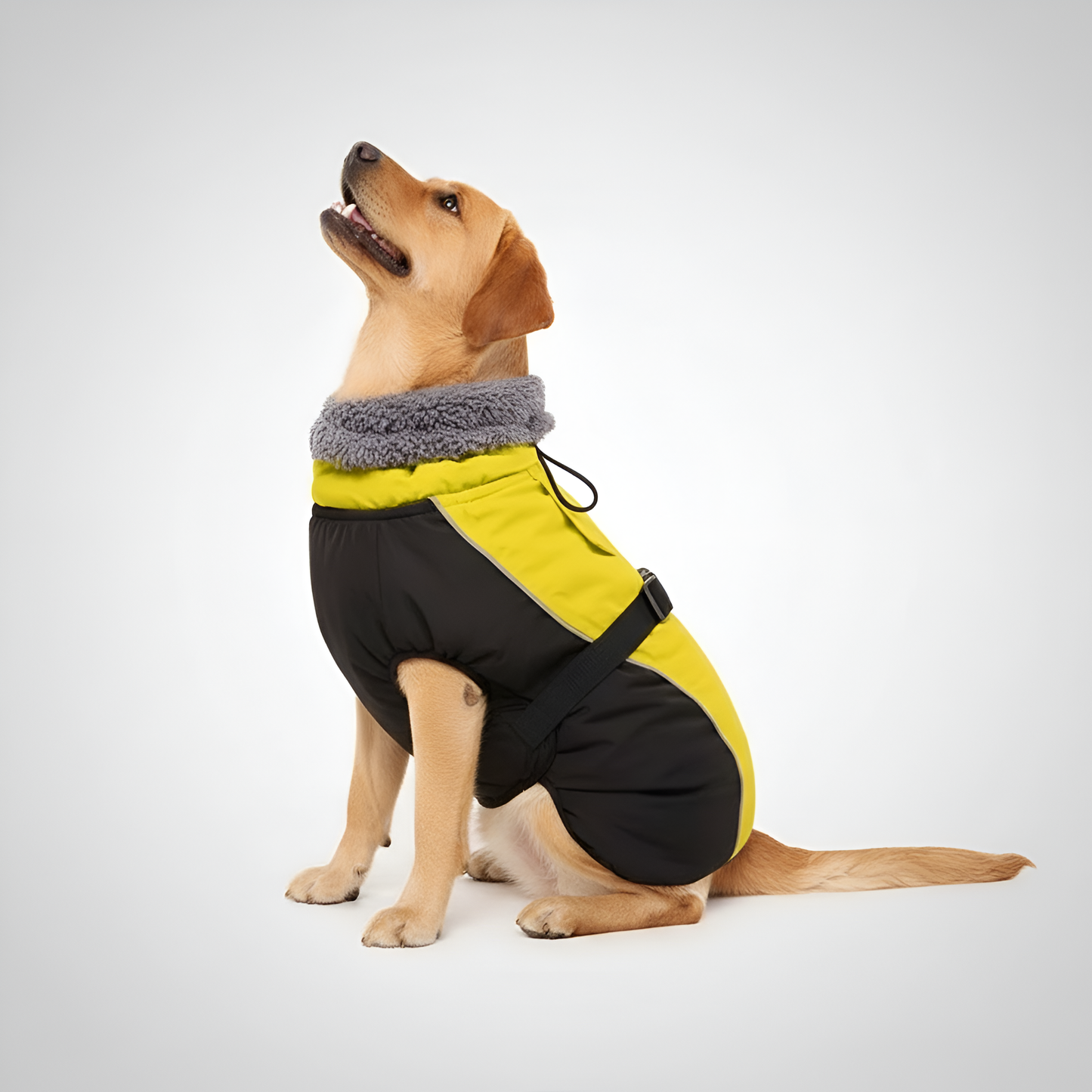 Adjustable Extra Warm Dog Winter Jacket