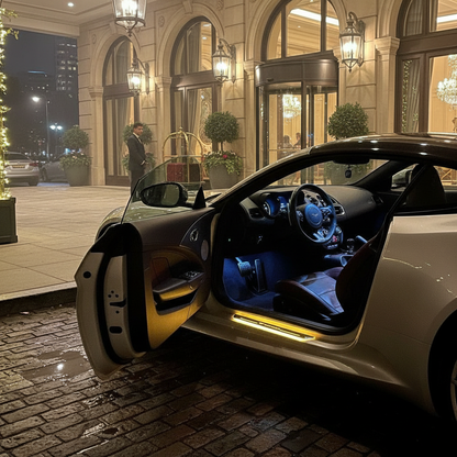 LED Car Door Sills Lights Pro