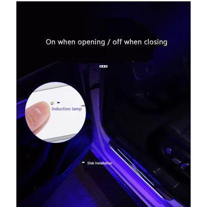 LED Car Door Sills Lights Pro