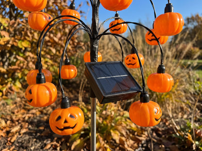 Solar Pumpkin Lume Light