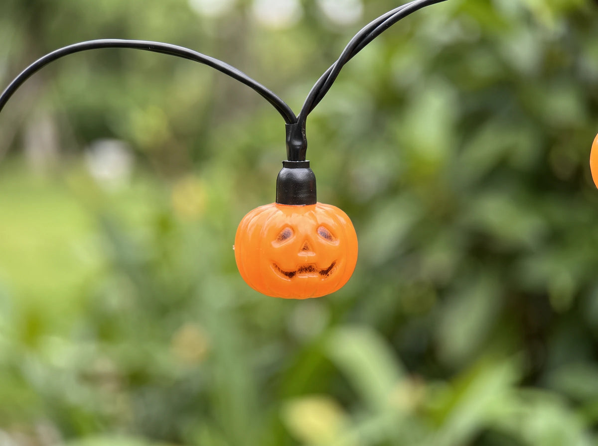 Solar Pumpkin Lume Light