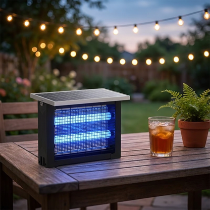 Zapper standing on a wooden garden table beside a drink and a potted fern