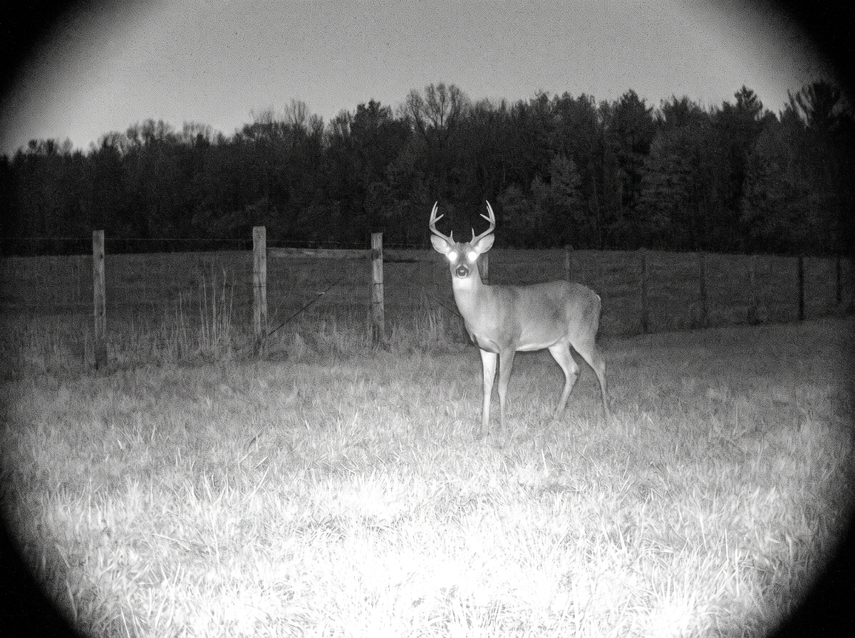 Solar Watch Cam