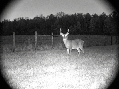 Solar Watch Cam